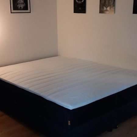 Apartman Kurt Mariánské Lázně Eksteriør billede