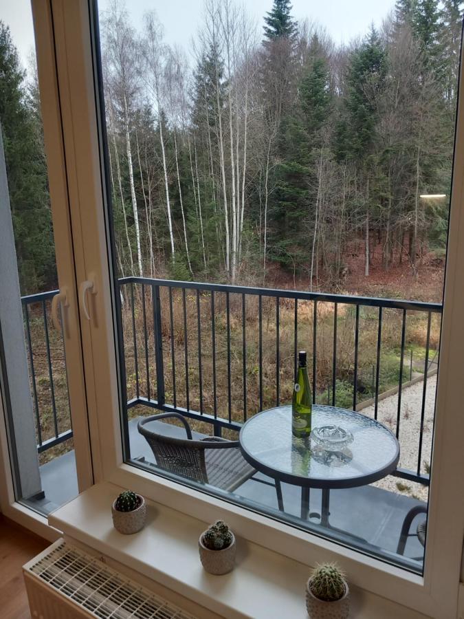 Apartman Kurt Mariánské Lázně Eksteriør billede